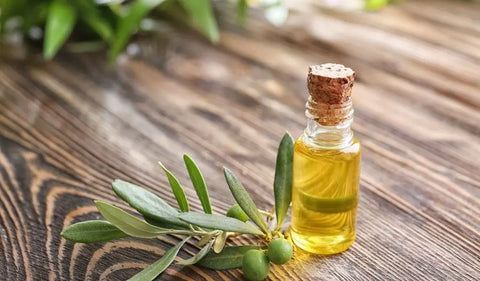 Olive Leaf Extract