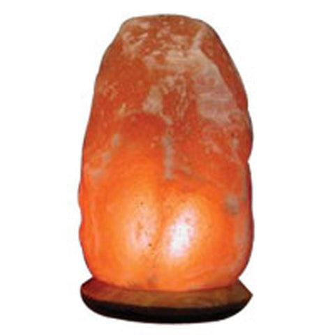 Aloha Bay, Himalayan Salt Lamps Replacement Bulb, 15 Watt Aloha Bay