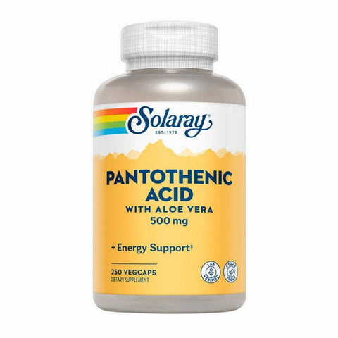 Solaray, Pantothenic Acid With Aloe Vera, 500 mg, 250 Caps Solaray