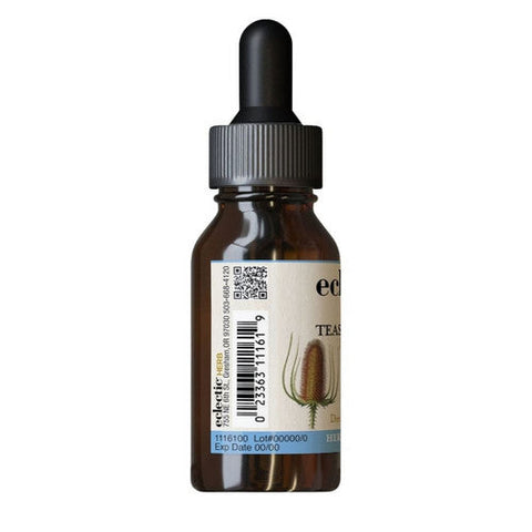 Eclectic Herb, Teasel Root Extract, 1 Oz Eclectic Herb