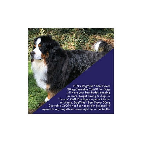 Health Thru Nutrition, Dog Vites CoQ-10 Beef, 30 Mg, 60 Chewable Tabs Health Thru Nutrition