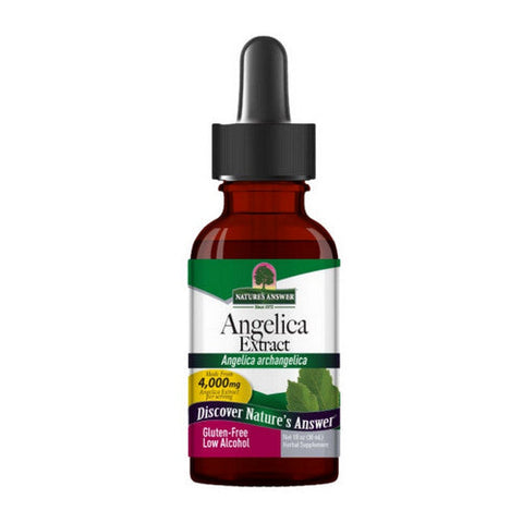 Nature's Answer, Brainstorm Liquid Extract Alcohol Free, 3000 Mg, 1 Oz Nature's Answer