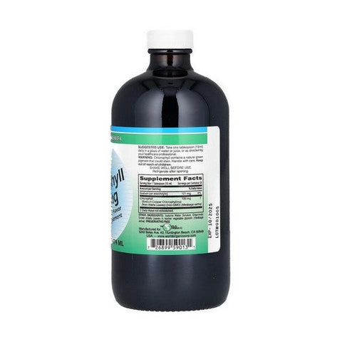 World Organics, Liquid Chlorophyll, 100 Mg, 16 Oz World Organics