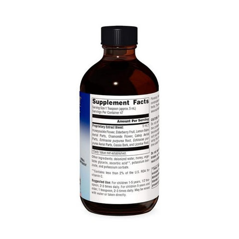 Planetary Herbals, Well Child Echinacea-Elderberry Syrup, 8 Oz Planetary Herbals