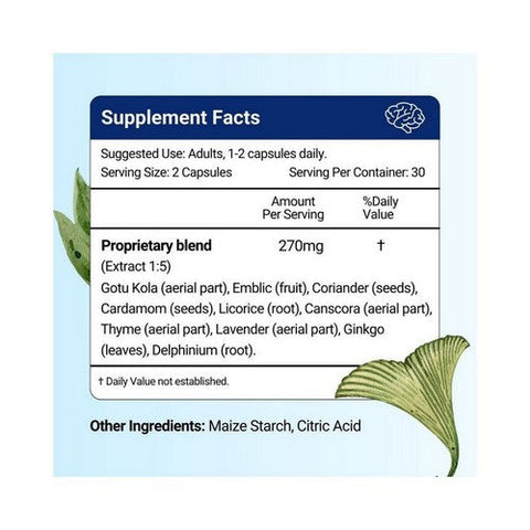 Herbion Naturals, Memory Support, 60 VgeCaps Herbion Naturals