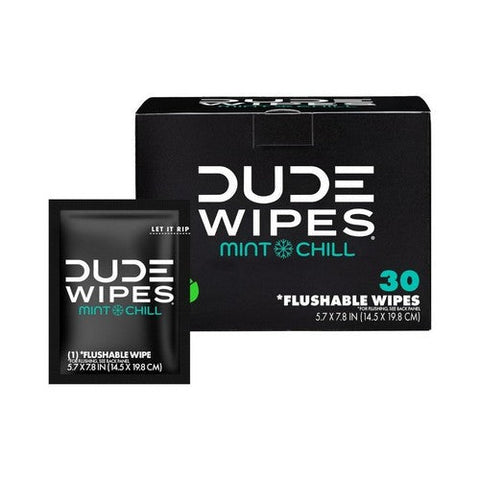 Dude Wipes, Mint Chill On The Go Flushable Personal Wipes, 30 Count Dude Wipes