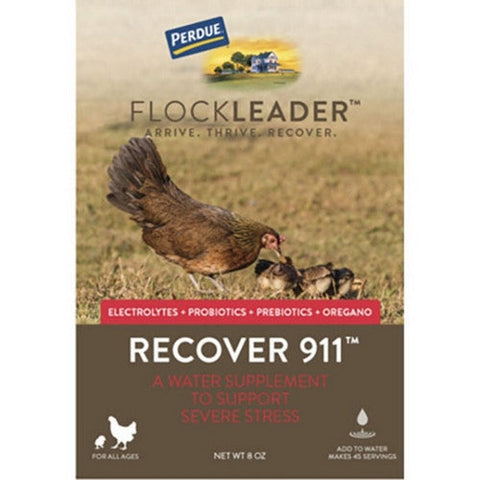 Flockleader, Perdue Flockleader Recover 911 Poultry Supplement, 8 Oz, Powder