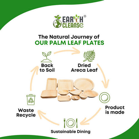 Earth Cleanse, Areca Palm Leaf Rectangular Tray 6x9-Inch, Pack of 25 Earth Cleanse