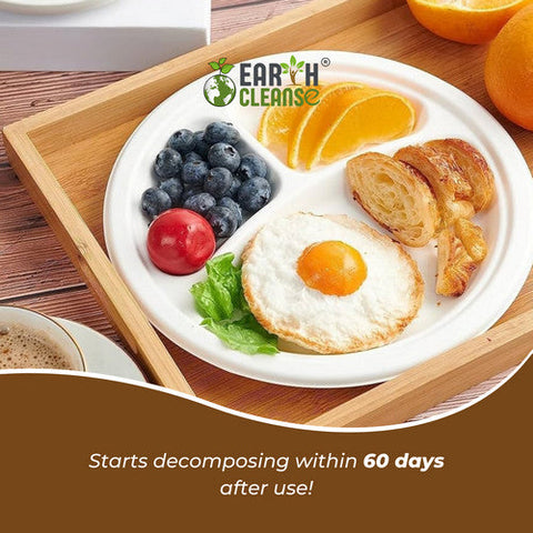 Earth Cleanse, 10" Round 3 Compartment Round Bagasse Plate Premium, 750 Pack Earth Cleanse