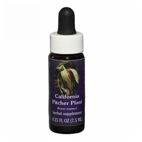 Flower Essence Services, California Pitcher Plant Dropper, 0.25 oz Flower Essence Services