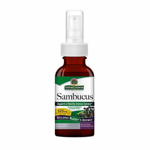 Nature's Answer, Sambucus Black Elderberry Extract Spray Alcohol-Free, 523 Mg, 2 Oz Nature's Answer