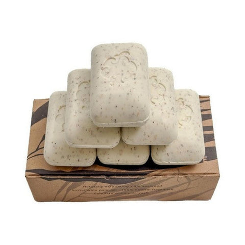 Baudelaire, Mint Exfoliating Loofa Bar Soap, 5 Oz Baudelaire